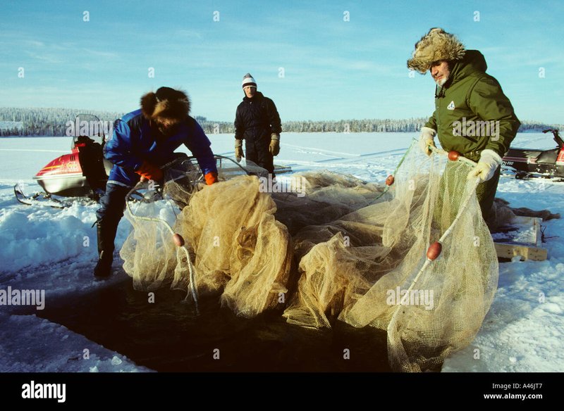 Introduction to ice fishing game